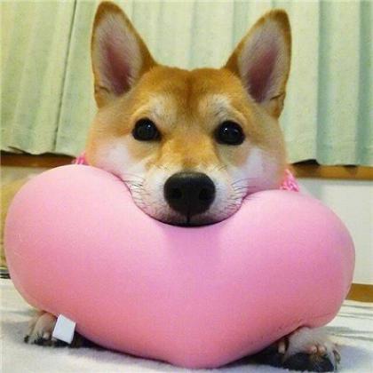 ƽ��������Ȥ�Ŀ����ǳƼ���լ