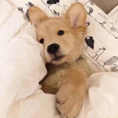 �������շ������ǵĳ����������������-�ɰ���