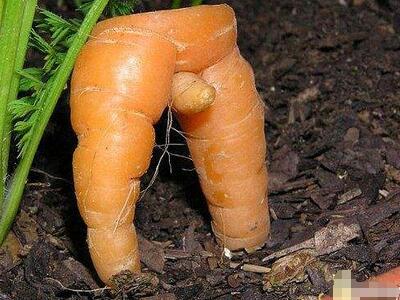 辣眼睛的网名大全,辣眼睛的游戏名字