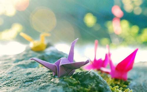 Ψ�������ĸ������10���ٶ���Ϯ��׼��������