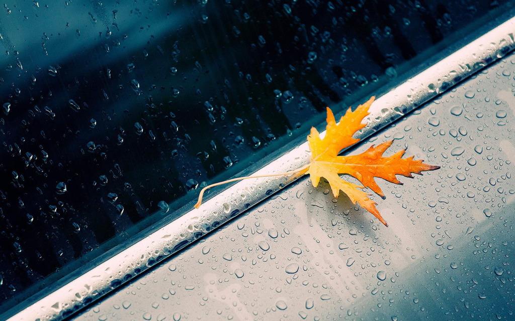 �����ƺ������˵�����������-�Һ���