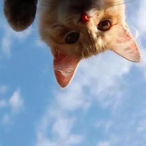 ��ק����һ��ĳ����������Գ谮-�ɰ���