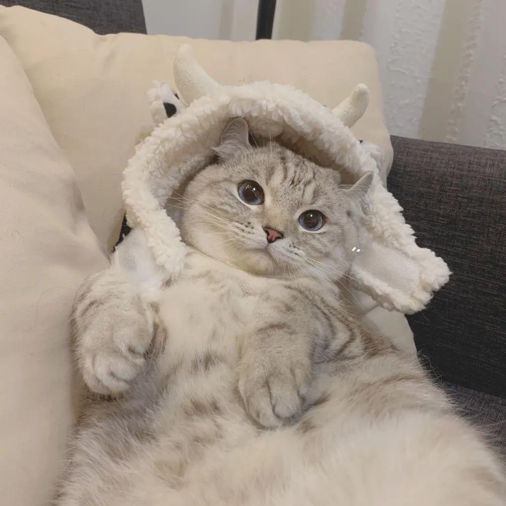 ��θ�����ȡ������������Դ�����-�ɰ���