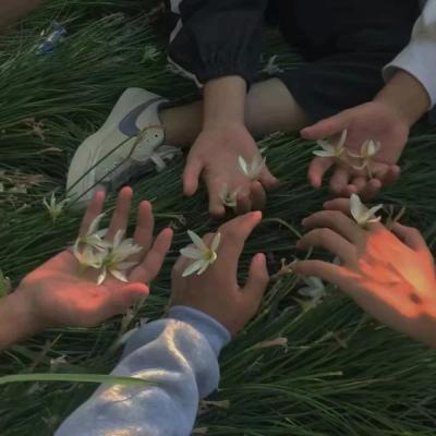 ����һ�θ���ı��������ĺ�ȥ�δ�-�ɰ���