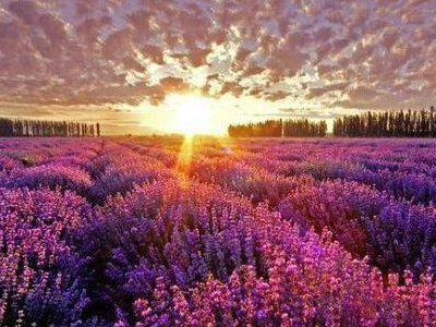 好听的伤感微信名字,个性好看的伤感微信网名