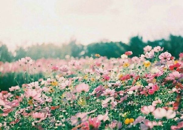 �������ů�Ҹ���Ů����������