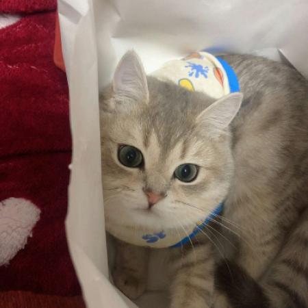 �崿���յĳ������ִ�ȫ����������-�ɰ���