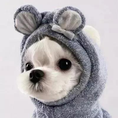 �������ݵĳ������������ֻ�����Ȥ-�ɰ���