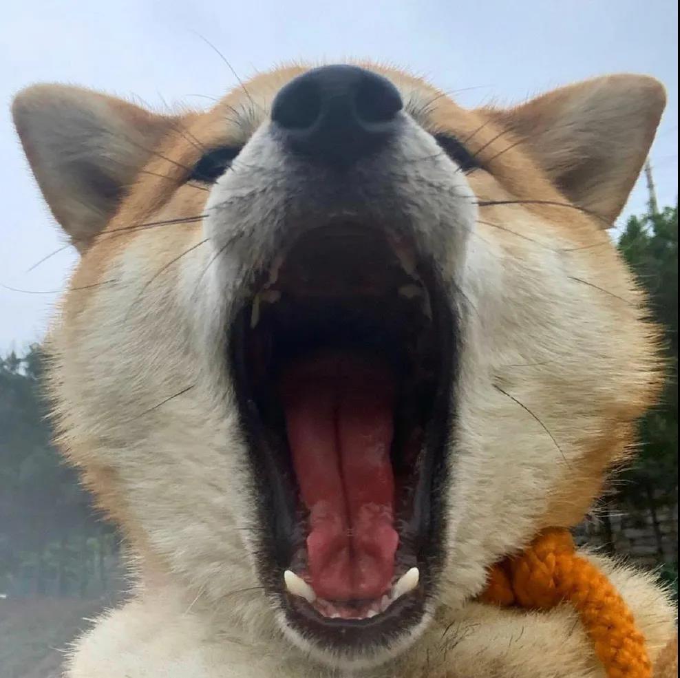 ����˼�ĳ������ֶ��������Ͽ�-�ɰ���