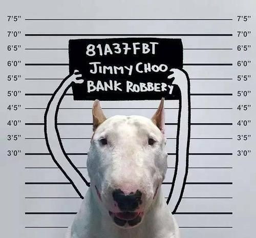 ������µĳ�����������ֲ�����·����-�ɰ���