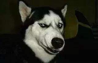 比较浪比较猥琐的男生网名,邪恶内涵的男生名字