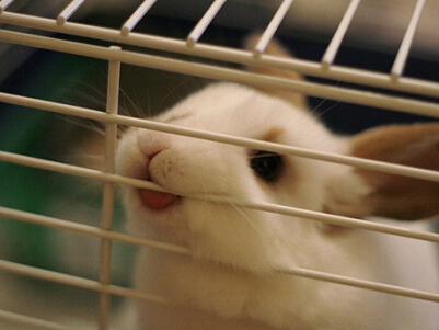 有内涵的7个字网名:死神他不收留我