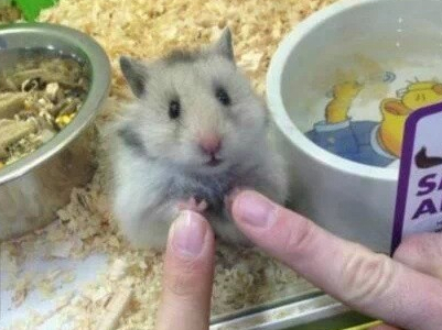 ���ȵ�QQ�ǳƴ�ȫ�����е����᲻��Ҫ�����