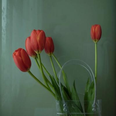 �򵥴��������ǳƾ�����-�ɰ���