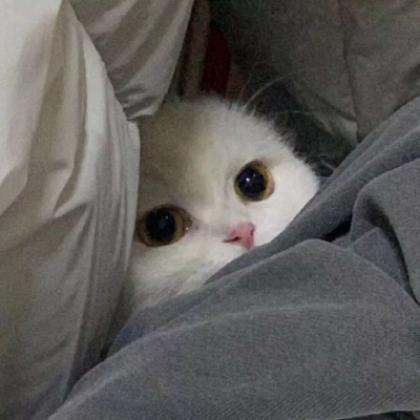 ����������ǳ�������ֺ�����-�ɰ���