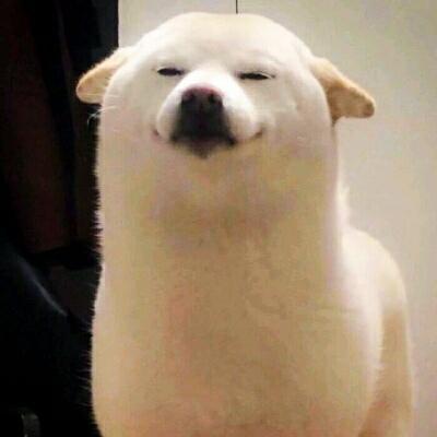 ������Ƥ�ĳ��ﹷ�ĸ�Ц���ִ�ȫ-�ɰ���