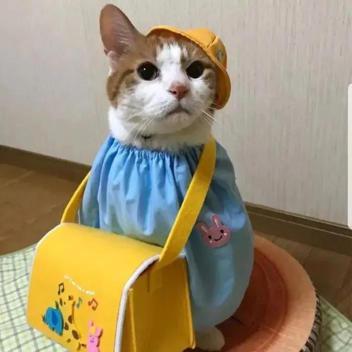 ��������Ķ����������ܸ�Ц��-�ɰ���