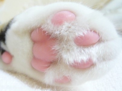 个性霸气的DNF名字大全:姑娘,请自重我劫财不劫色