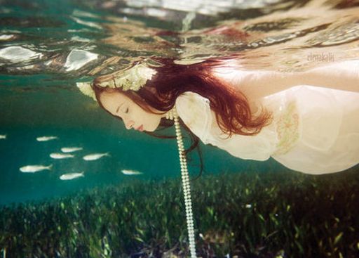 11����12���ֵ�Ψ��Ů����������������