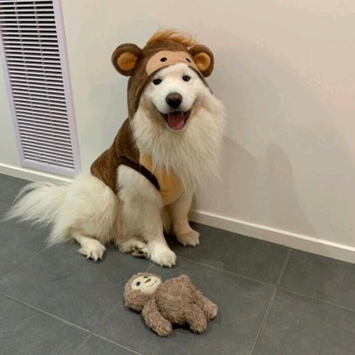 ���������ĳ���������ָ��˰�ȫ��-�ɰ���