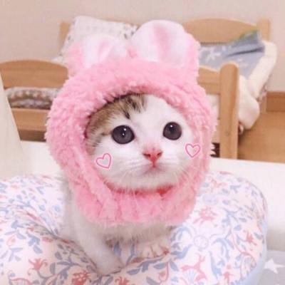 �д����è����������Ӣ������Ԣ��ʮ��-�ɰ���