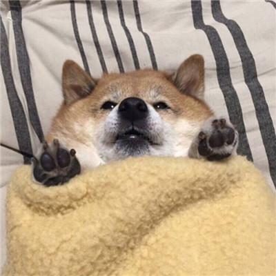 ������Ȥ��Ц���ǳ����ں����Ժڸ��