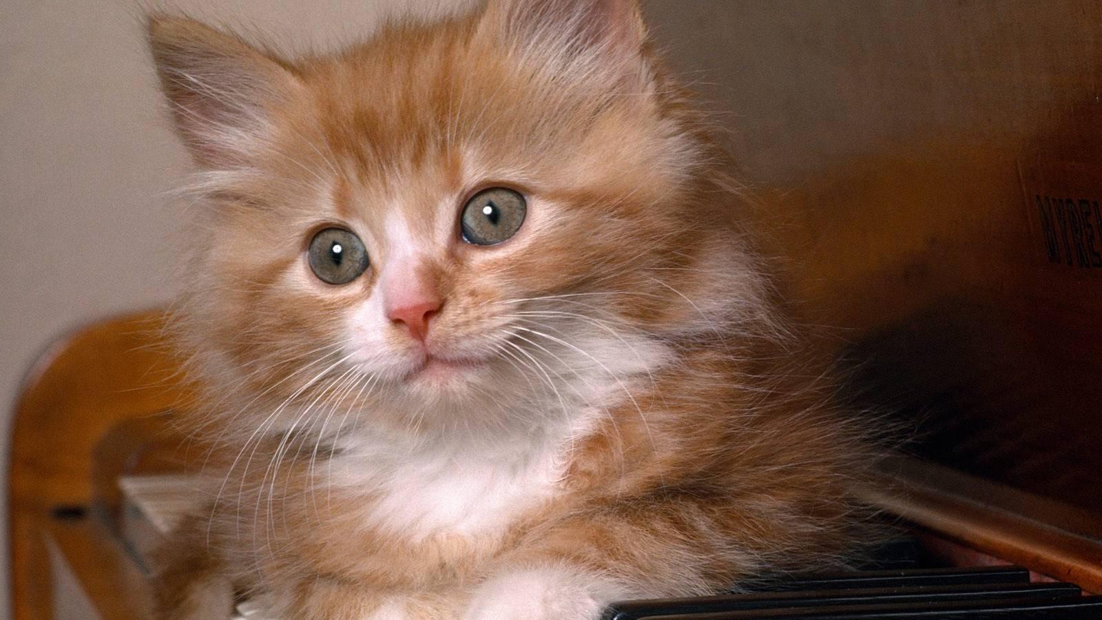 ��֮���յĳ������ִ�ȫ���ϱ�ǩ-�ɰ���