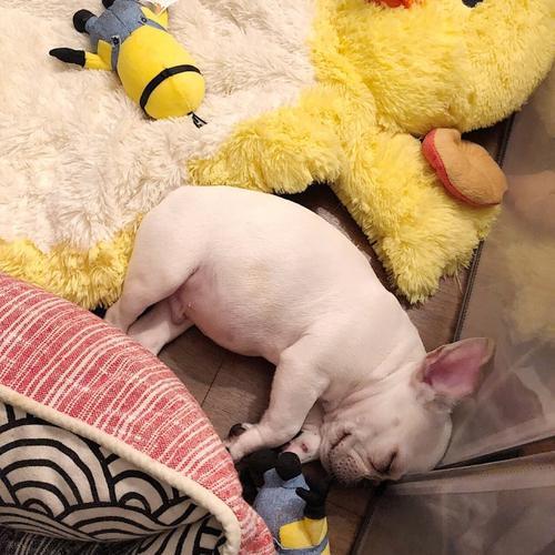 ʱ�������еĳ��ﹷ���������ִ��̵�-�ɰ���