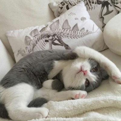 һ��һ������������Ŀɰ����������-�ɰ���