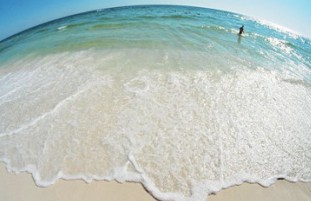 �������ľ����������ϰ�,��һ�輦Ƥ����