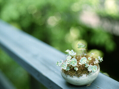 �����ѹ����������Ұ��ļĴ��˵�ַ