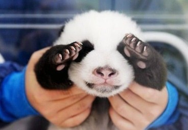 �Ƚ�Ϭ�������֣������Ǽ��ˣ���ҲֵǮ��