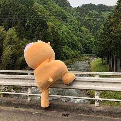 ɳ����Ȥ��Ⱥ�ǳ��׿����з���-�ɰ���