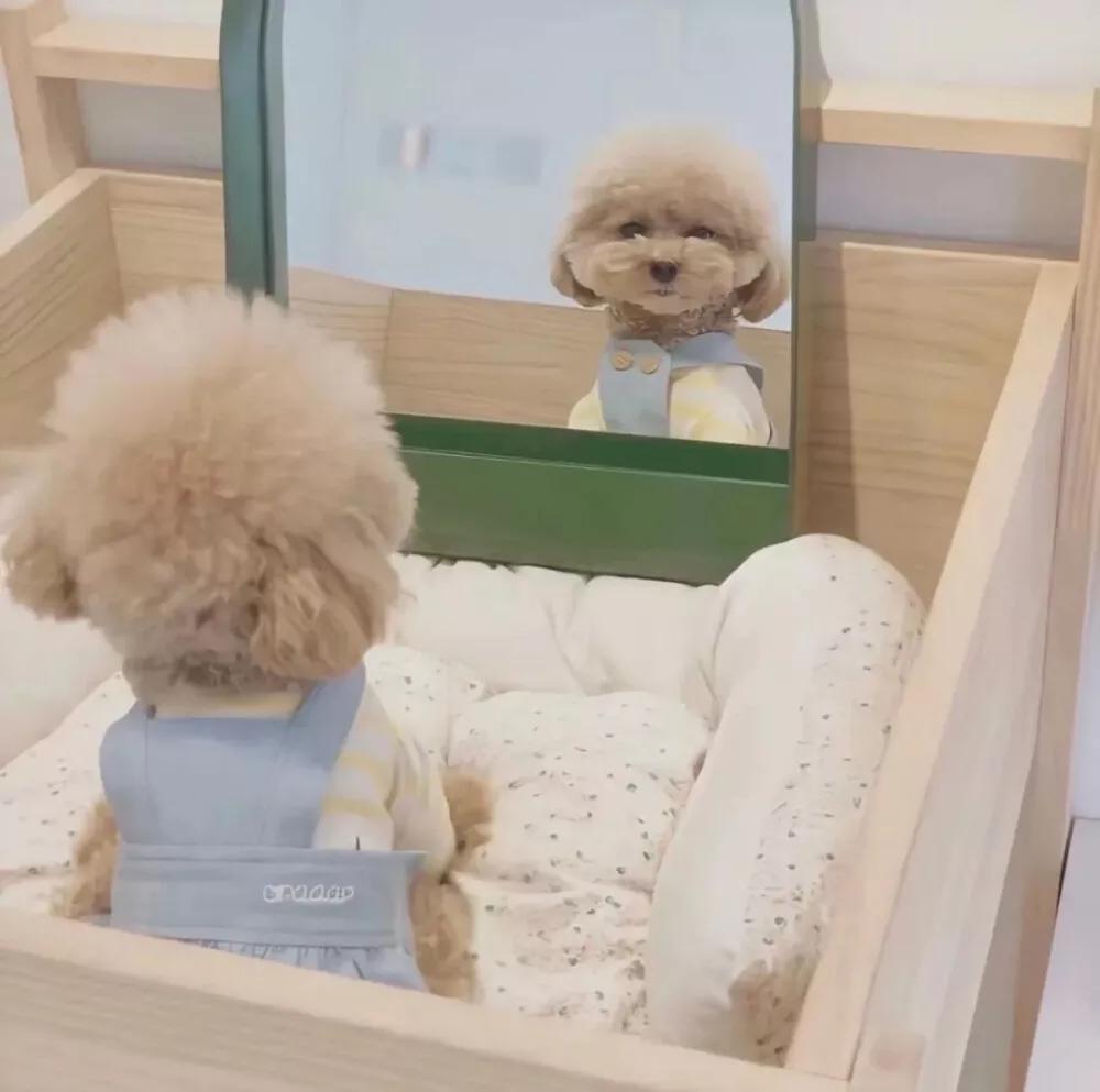 ��ʱ�ֵĶ��س��ﹷ������������������-�ɰ���