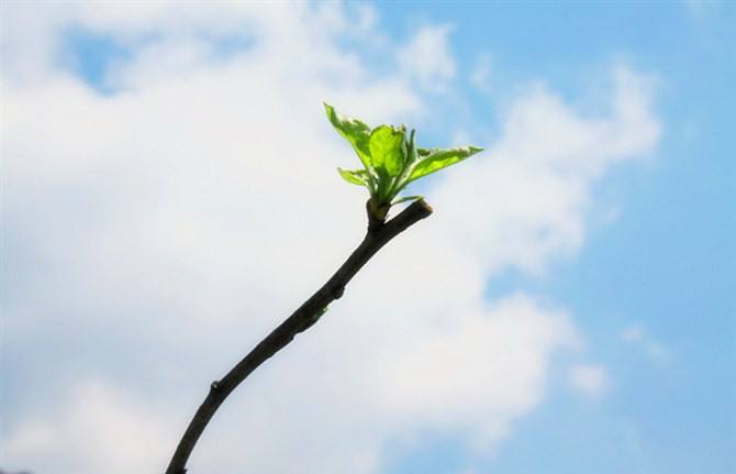 ��������С���������������µ���������