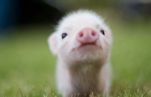 ��Ц��ק������������ϲ��ëүү�����ʱ��