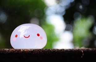 �����緹�Ŀ��Ŀ�������������˵�����嶨Ҫ�ü�����