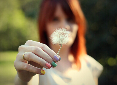 İİ�������֣�����������������