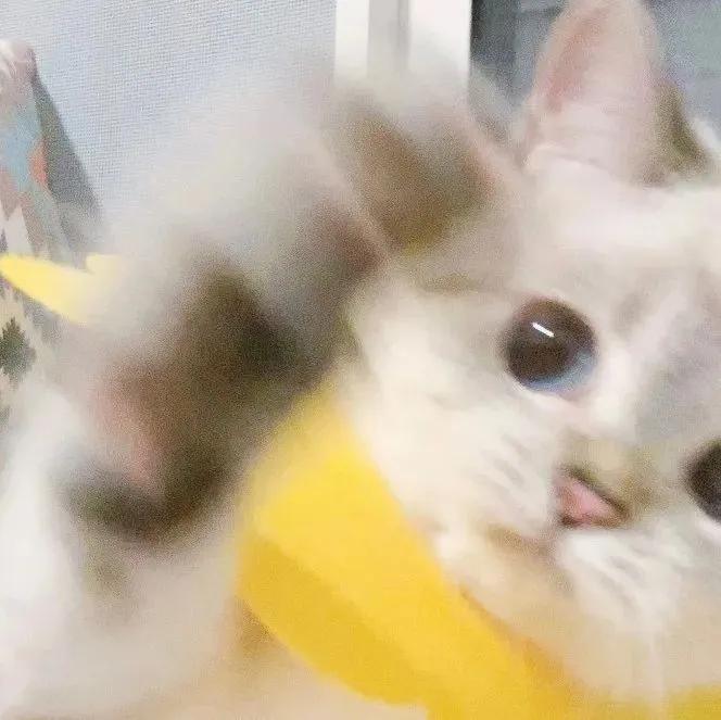 ������©�����ֵĳ�������ʮ��������-�ɰ���