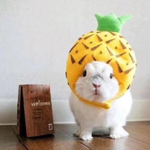 ë�������ĳ��������ִ�ȫ�Ȼ�����-�ɰ���