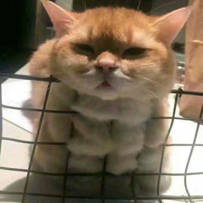 ��Ȥ���ȳ�������ʵ��ɳ��-�ɰ���