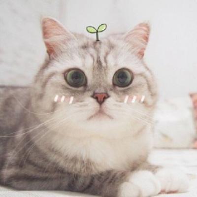 �����������˼���ر�ĳ�������-�ɰ���