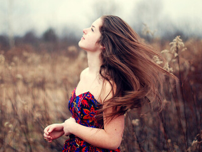 ����Ӣ��������ȫ������Ӣ������������