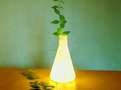 ���ճ���������һ�����������