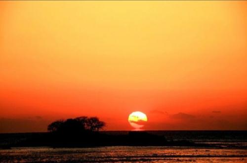 深沉大气低调好听的网名,属于、我们的梦想