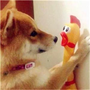 Ұ�Կ����ӳ������ְ������ſ�-�ɰ���