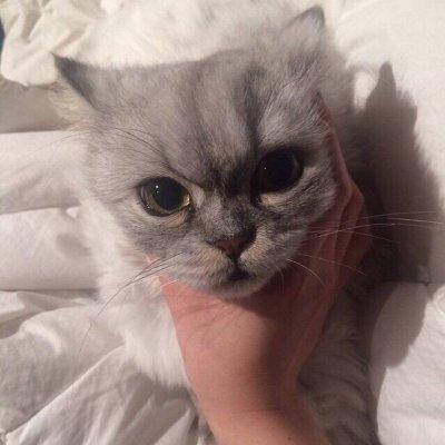 ���������ĳ������ִ�ȫ������-�ɰ���