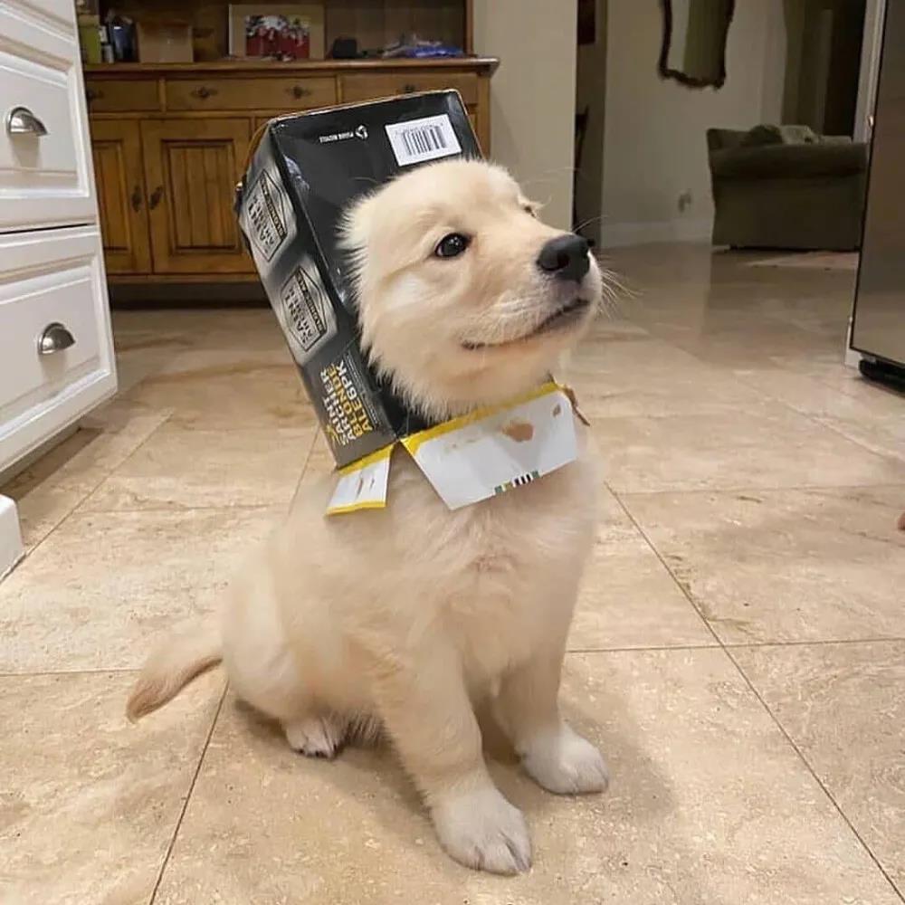 ��������ֱȽ϶��ȸ�Ц������-�ɰ���