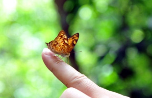 ����ص����������ڷس�������~