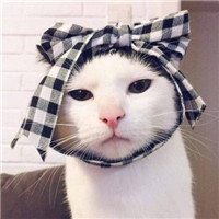 Ψ������Ŀ�ͨ����